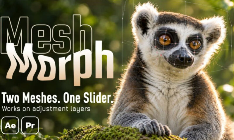 Plugin MeshMorph for AE & Premiere