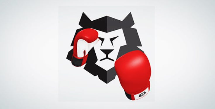 Boxing Gloves (Punch It!)