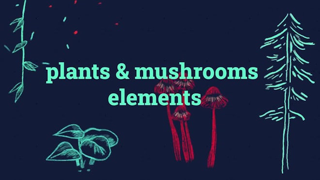 Pack Of 20 Nature Elements On Alpha
