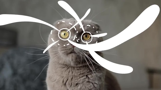 Scribble Motion Elements Pack